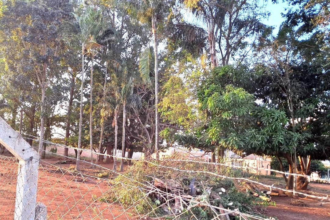 Trabalho Humberto de Campos marca início das atividades no terreno do Educandário Anália Franco